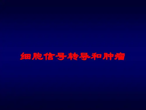 细胞信号转导和肿瘤培训课件