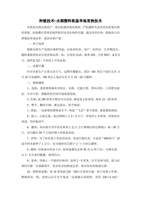 种植技术-水稻塑料软盘旱地育秧技术