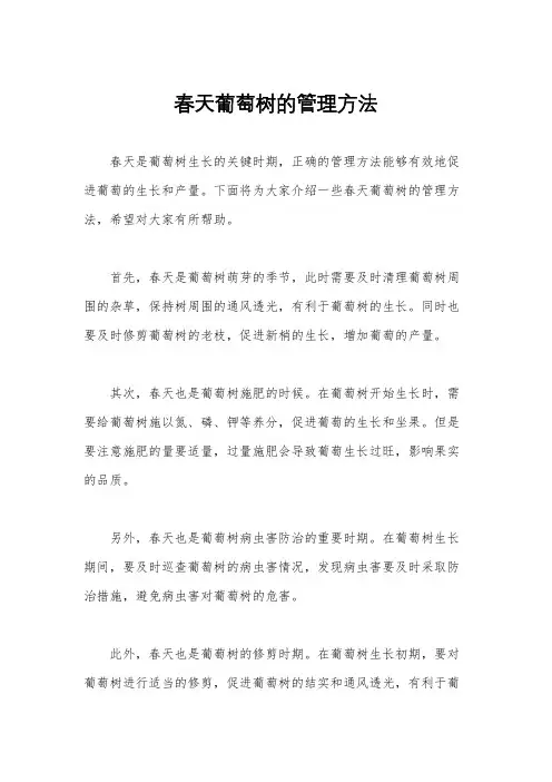 春天葡萄树的管理方法