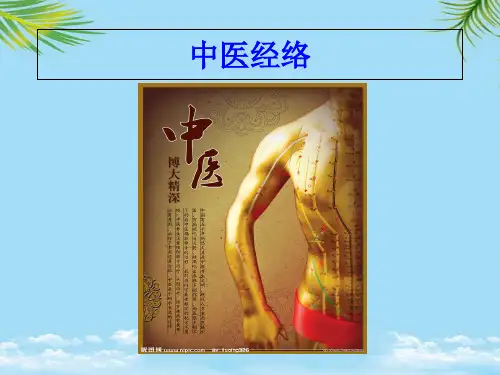 【精】胆和足少阳胆经的