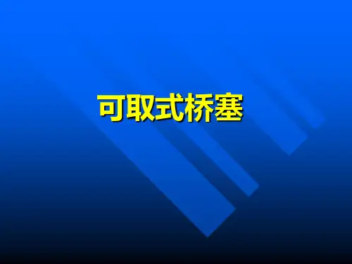 桥塞(宏达)