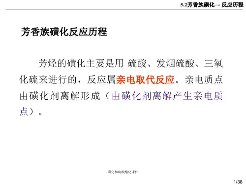 磺化和硫酸酯化课件