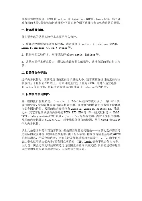 western blot内参选择