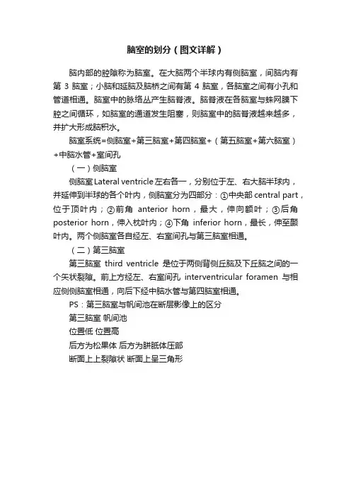 脑室的划分（图文详解）