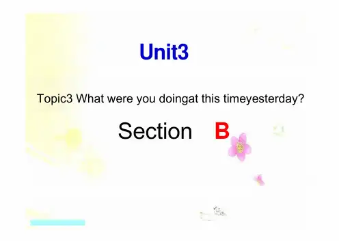 Unit+3+Topic+3+Section+B 仁爱科普版八年级英语上册