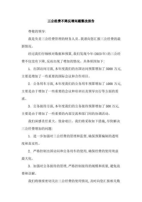 三公经费不降反增问题整改报告