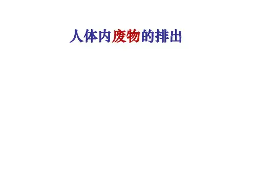 苏科版初中生物八上第六单元15.2《人体内废物的排出》课件(共33张PPT)