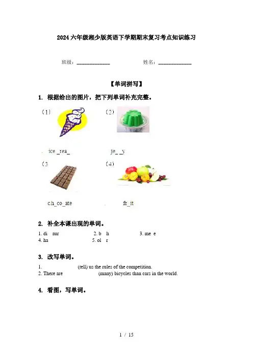 2024六年级湘少版英语下学期期末复习考点知识练习