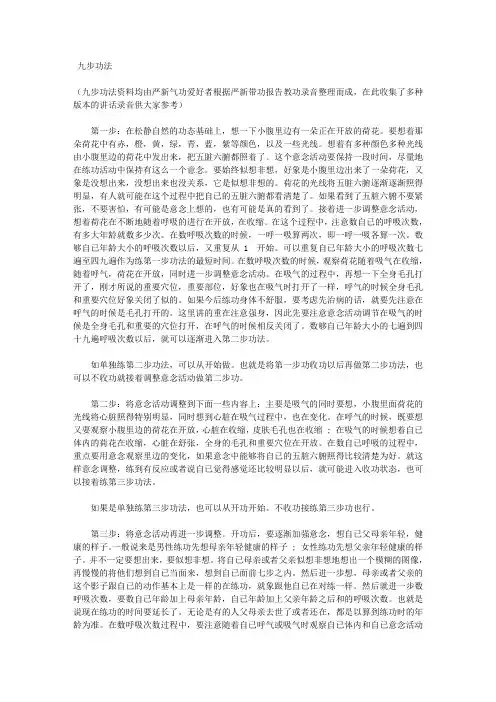 九步功(严新)