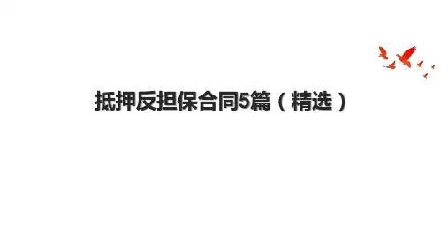 抵押反担保合同5篇(精选)