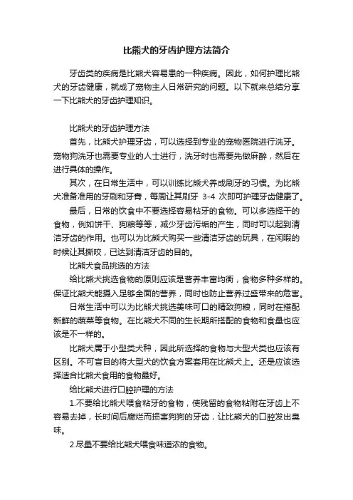 比熊犬的牙齿护理方法简介