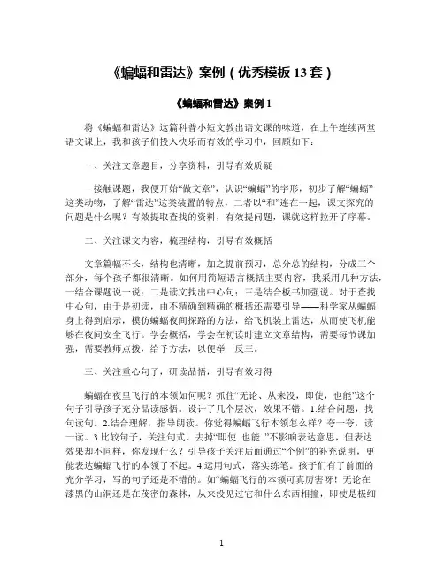 《蝙蝠和雷达》案例(优秀模板13套)