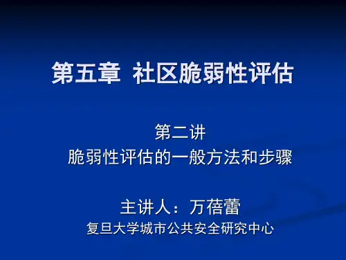 5-%20第2节%20脆弱性评估的一般方法和步骤ppt
