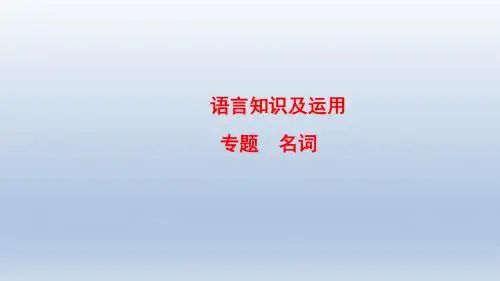 中考英语总复习课件：名词复习课件 (共40张PPT)