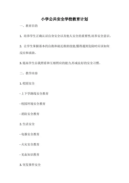 小学公共安全学校教育计划