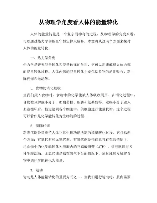 从物理学角度看人体的能量转化