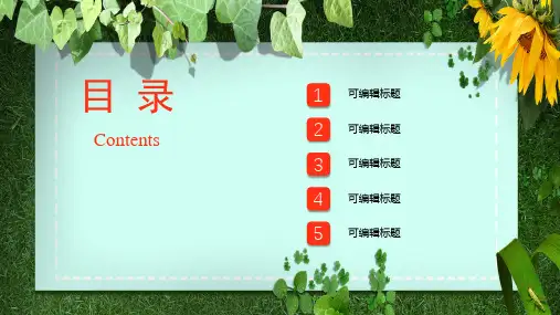 小清新教学教育培训课件PPT模板