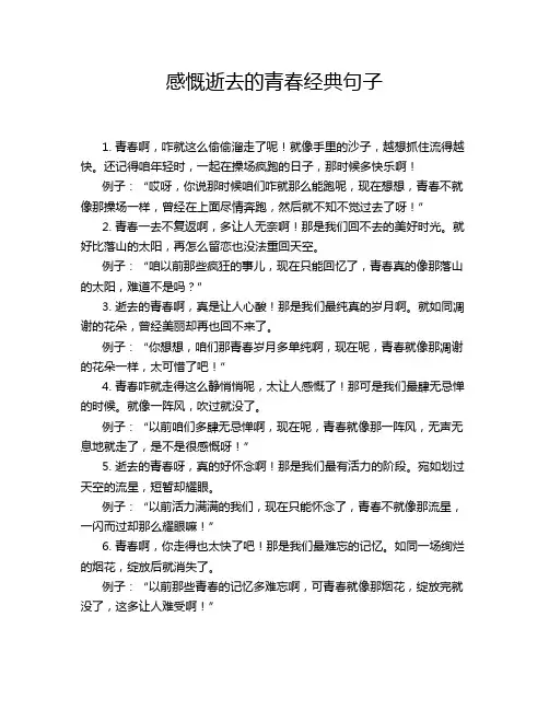 感慨逝去的青春经典句子
