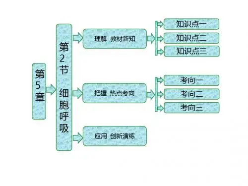 高中生物必修一第5章《细胞的能量代谢》ppt课件(4北师大份)(2)高品质版
