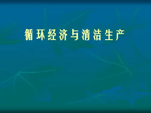 循环经济与清洁生产