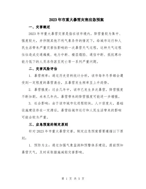 2023年市重大暴雪灾害应急预案