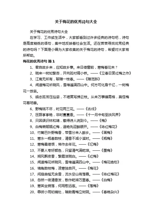 关于梅花的优秀诗句大全