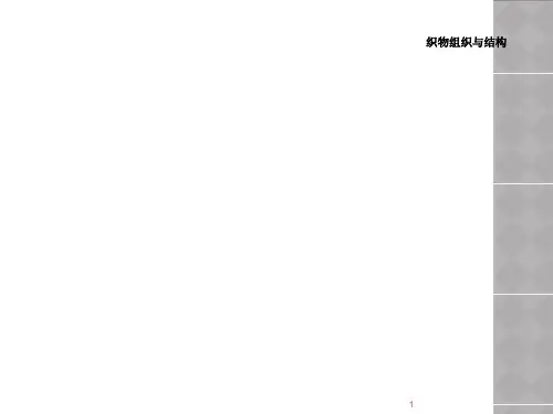 织物组织与结构