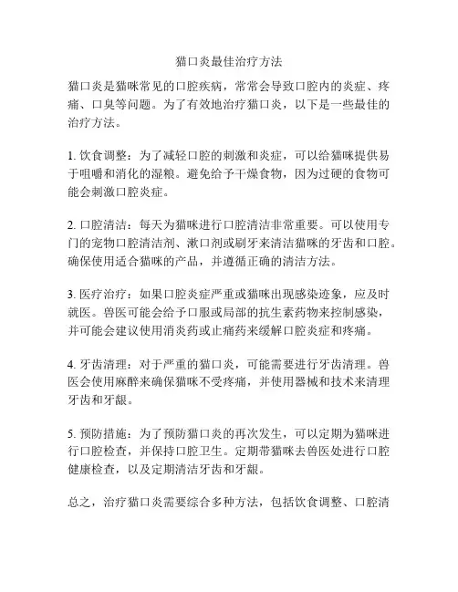 猫口炎最佳治疗方法