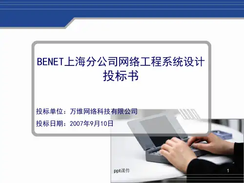 项目标书  ppt课件