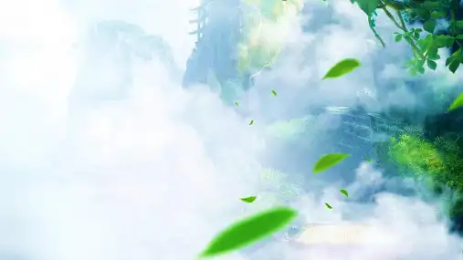 中考专题复习：书法专题