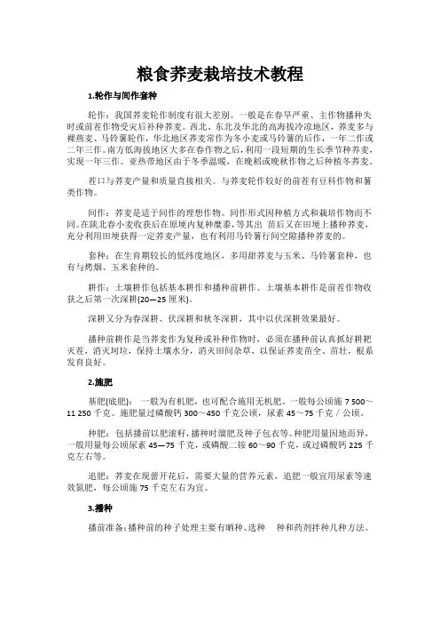 粮食荞麦栽培技术教程