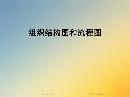 组织结构图和流程图