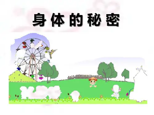 幼儿园科学：身体的秘密(PPT课件)