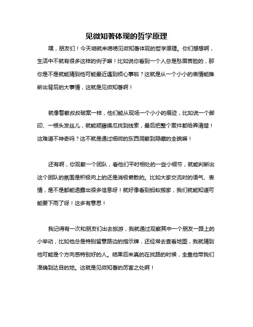 见微知著体现的哲学原理