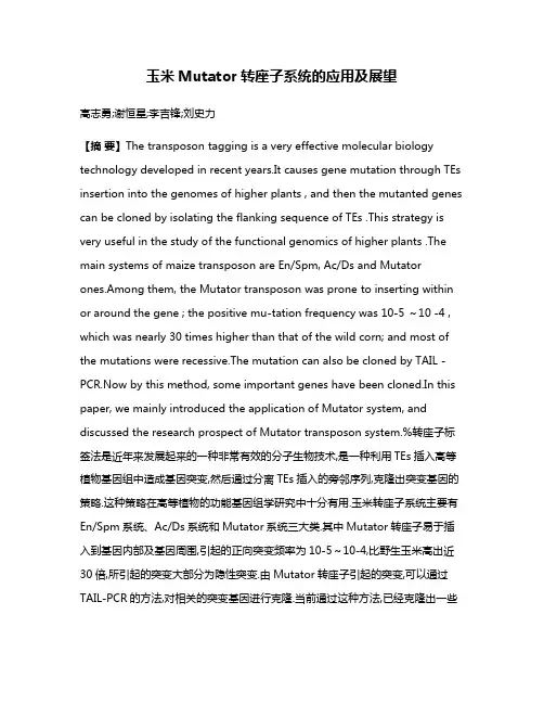 玉米Mutator转座子系统的应用及展望