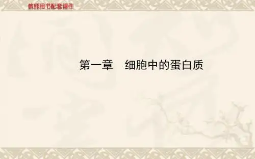 【全程复习方略】高中生物 第二单元 第一章 细胞中的蛋白质课件 中图版必修1