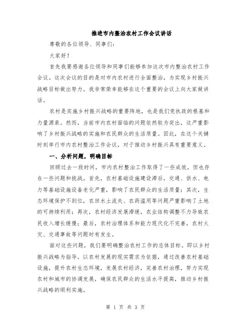 推进市内整治农村工作会议讲话
