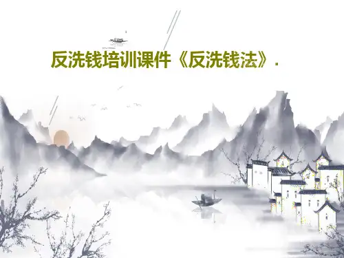 反洗钱培训课件《反洗钱法》.30页PPT