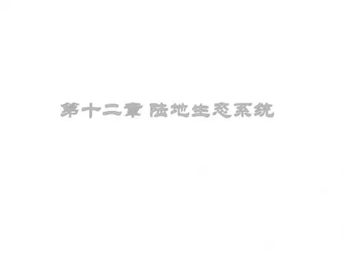 第12章 陆地生态系统