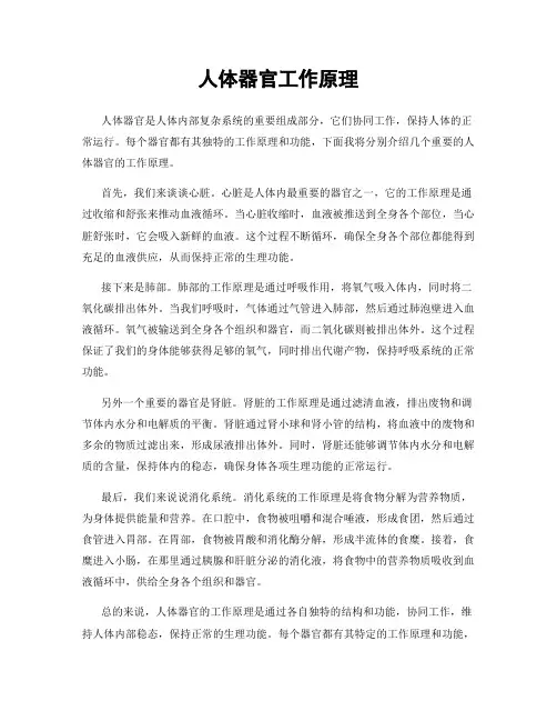 人体器官工作原理