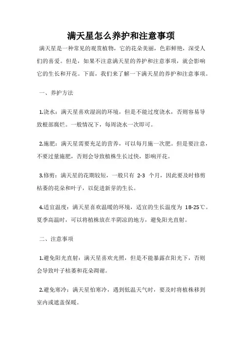 满天星怎么养护和注意事项