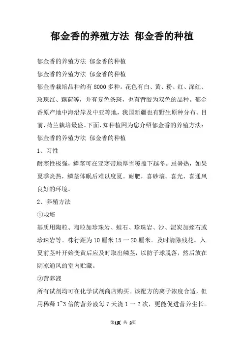 郁金香的养殖方法 郁金香的种植