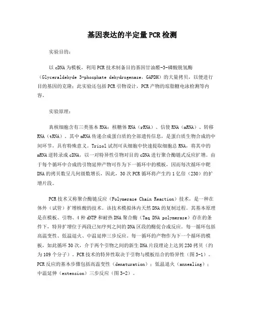基因表达的半定量PCR检测
