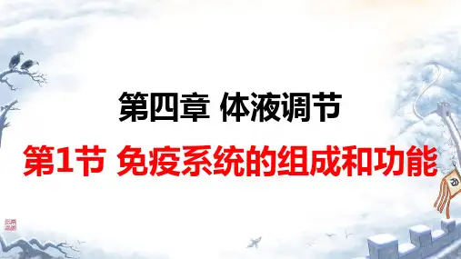 免疫系统的组成和功能ppt课件