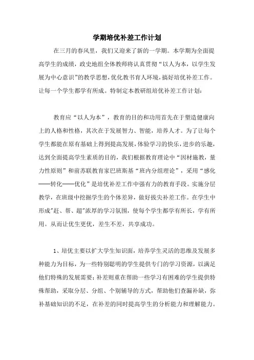 2020年学期培优补差工作计划