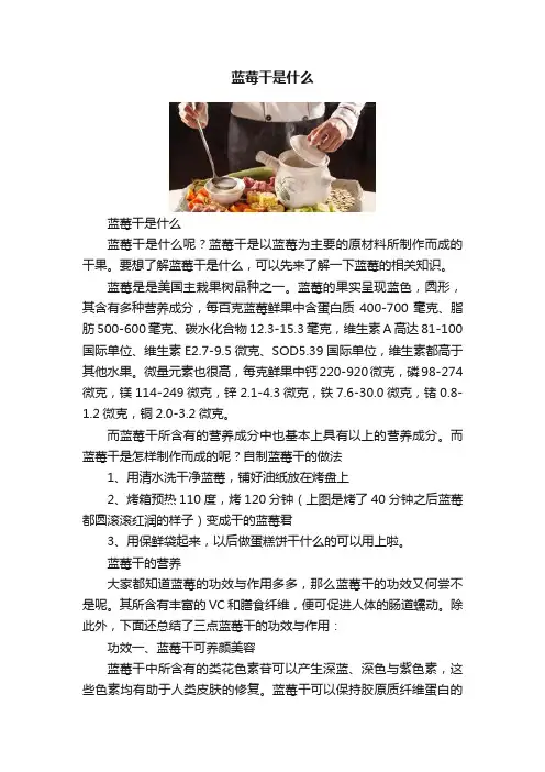 蓝莓干是什么