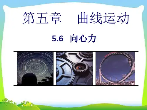 新人教版物理 必修2 5.6向心力课件 (共21张PPT)