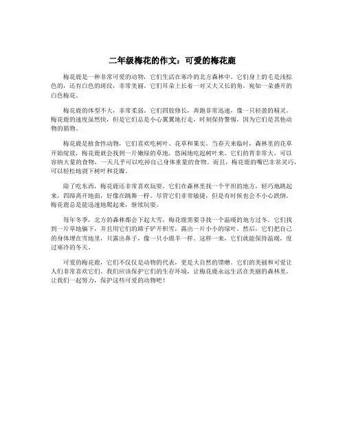 二年级梅花的作文:可爱的梅花鹿