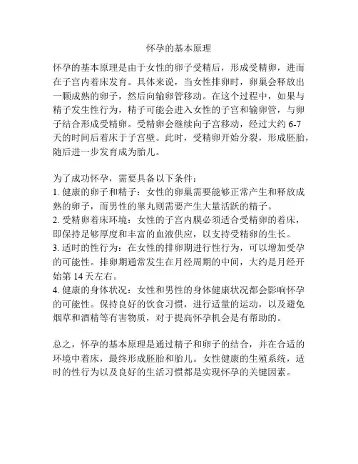 怀孕的基本原理