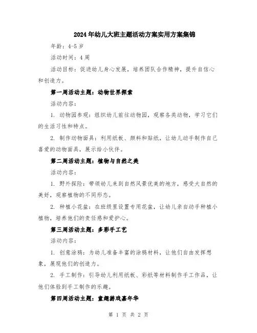 2024年幼儿大班主题活动方案实用方案集锦